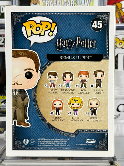 Harry Potter - Remus Lupin (45)