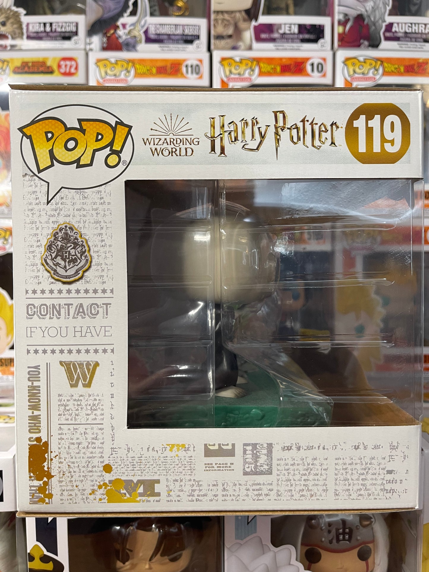 Harry Potter - Momento - Harry vs Voldemort (119)