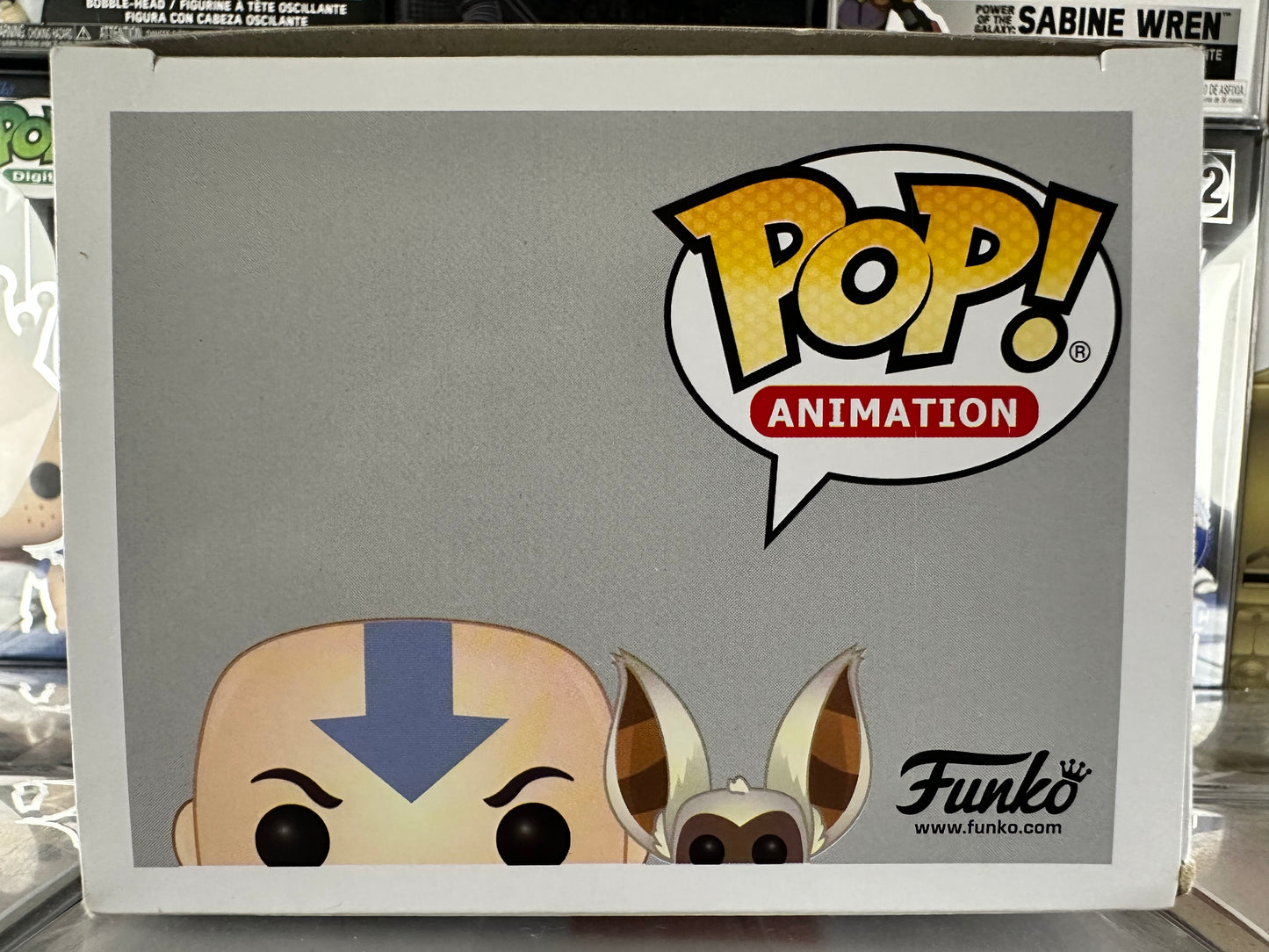 Avatar - Aang with Momo (534)