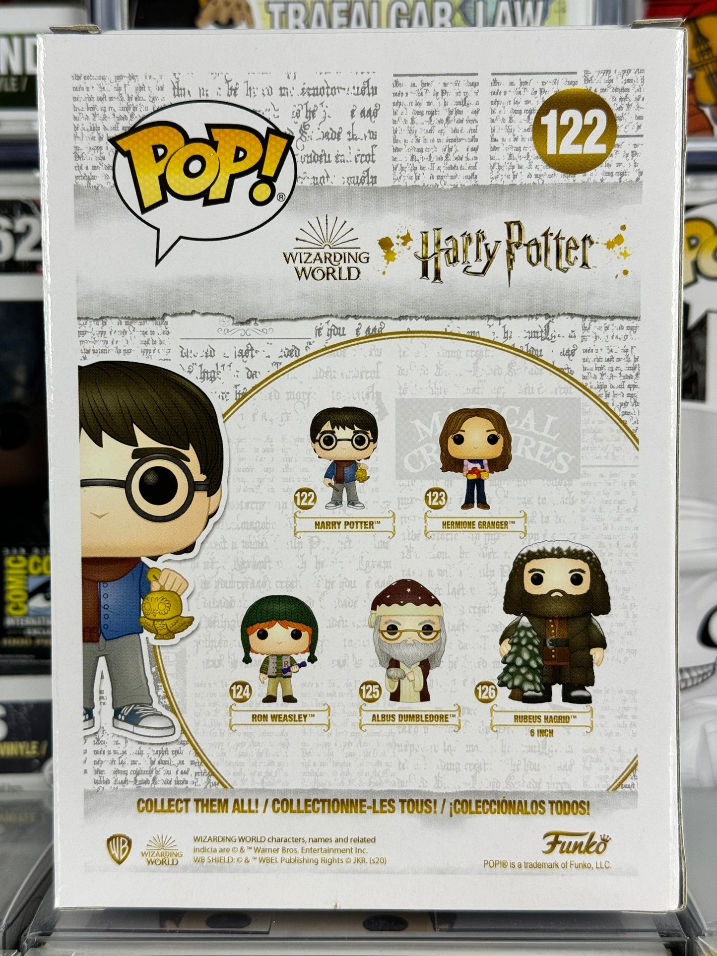 Wizarding World of Harry Potter - Harry Potter (Holiday) (122)
