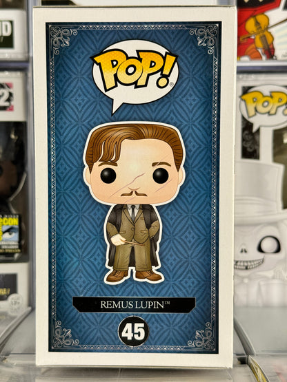 Harry Potter - Remus Lupin (45)