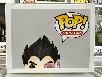 Dragon Ball Z - Vegeta (10)