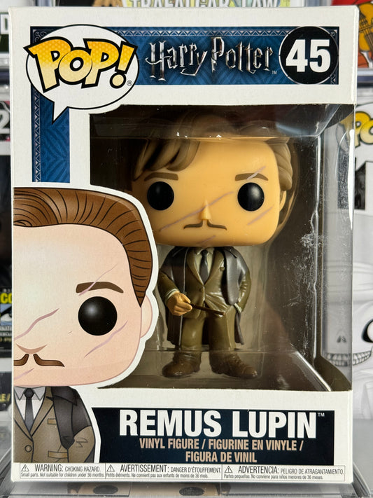 Harry Potter - Remus Lupin (45)