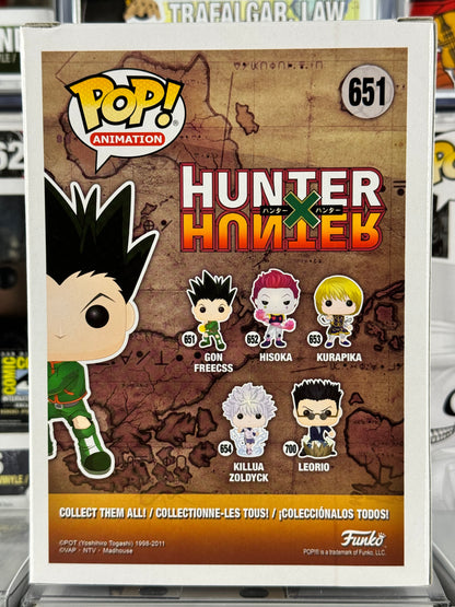 Hunter x Hunter - Gon Freecss (651)