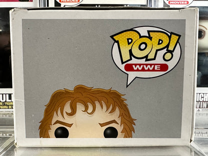 WWE - Daniel Bryan (Red Outfit) (07) Vaulted