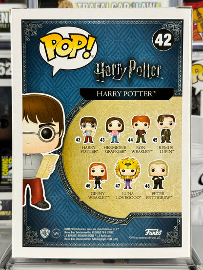 Harry Potter - Harry Potter (con mapa de Merodeadores) (42)