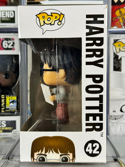 Harry Potter - Harry Potter (con mapa de Merodeadores) (42)