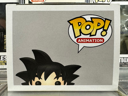 Dragonball - Goku y Nimbus Volador (109)