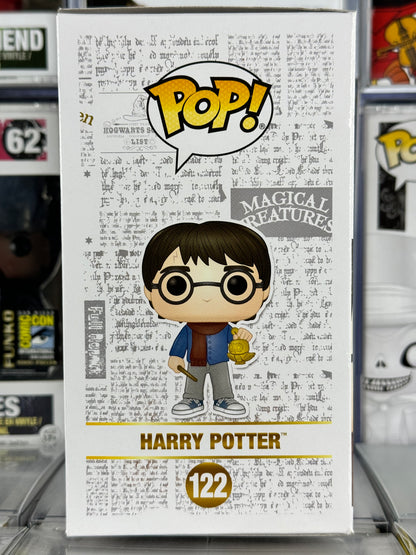Wizarding World of Harry Potter - Harry Potter (Holiday) (122)