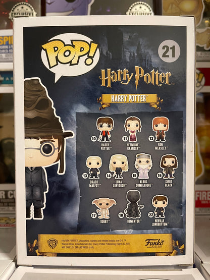 Harry Potter - Harry Potter (Sorting Hat) (21)
