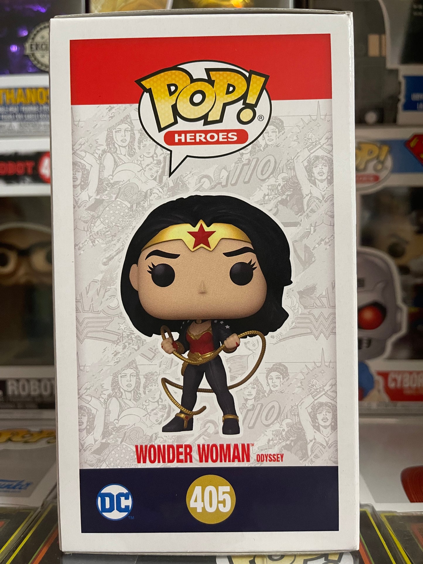 DC Wonder Woman - Wonder Woman Odyssey (405)