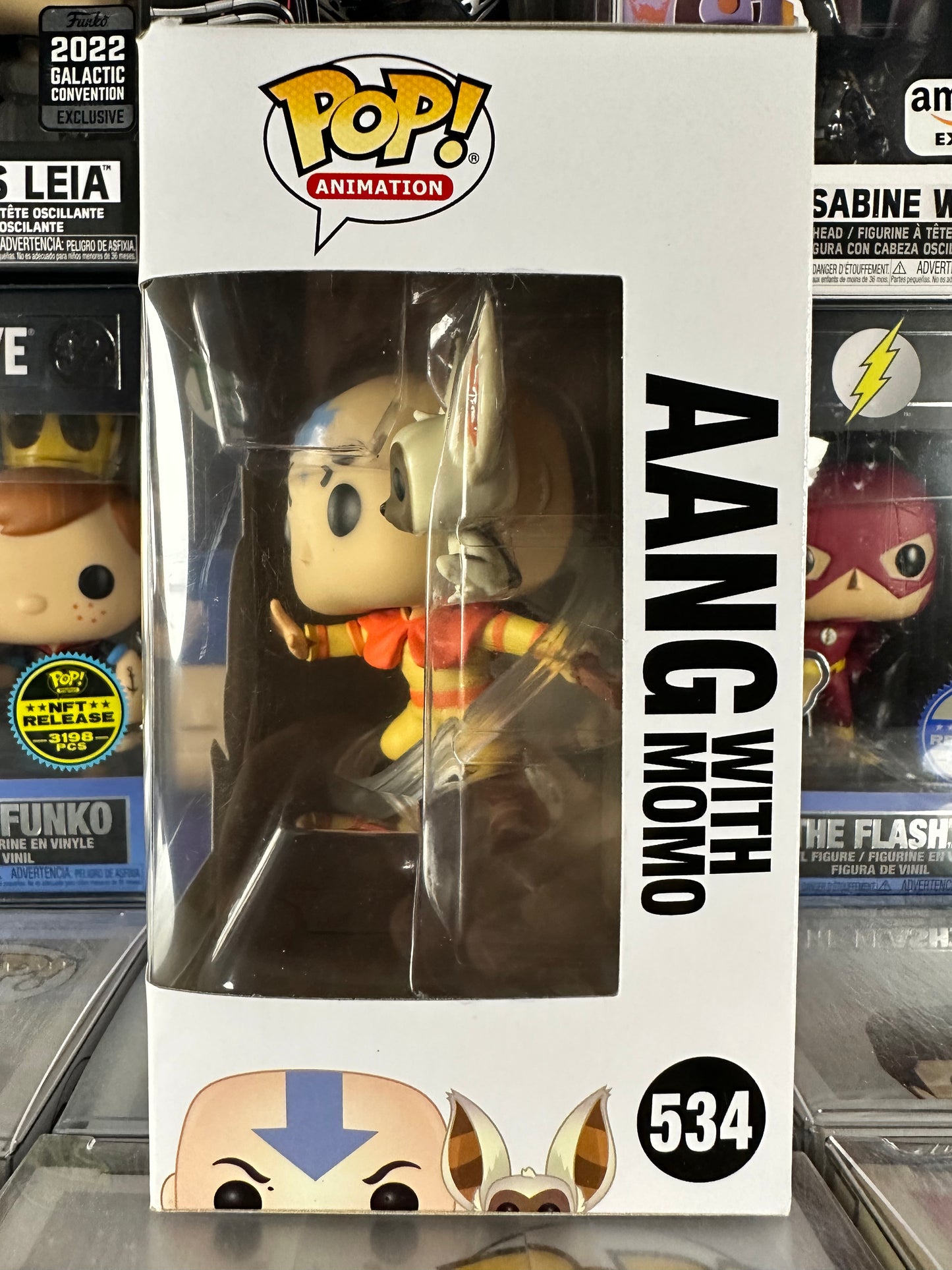Avatar - Aang with Momo (534)