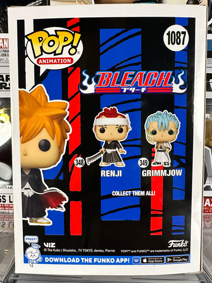 Bleach - Ichigo (1087)
