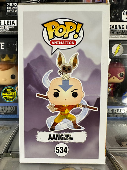 Avatar - Aang with Momo (534)